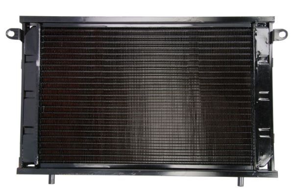 D8A001TT THERMOTEC Fan radiator for AUDI,FORD,SEAT,VW 5901655043860 